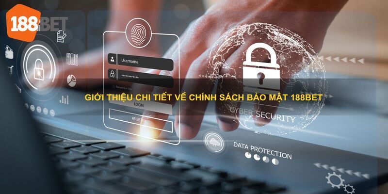 Đồng ý với chính sách bảo mật và các cập nhật